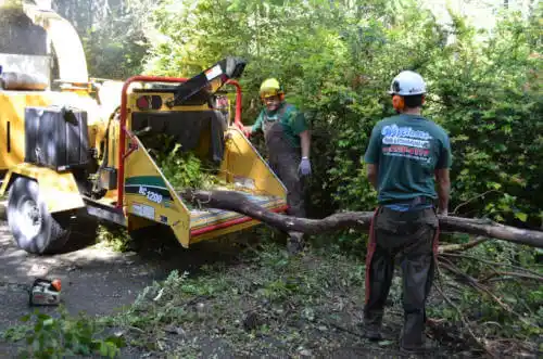 tree services Burr Ridge